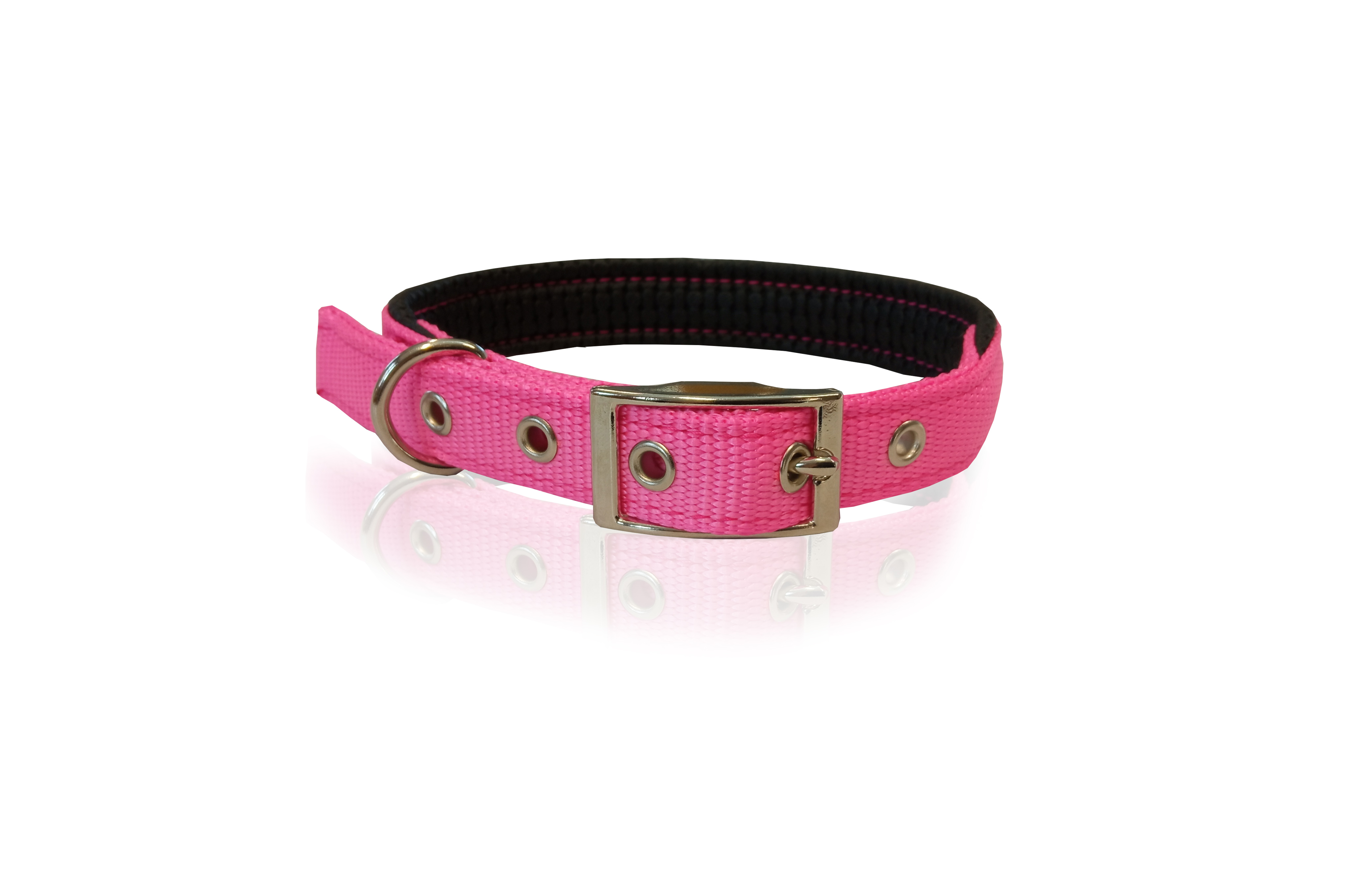 collars for dogs 