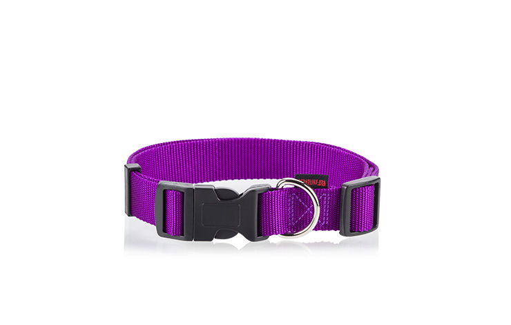 collars for dogs 