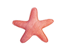STAR FISH LOOFAH